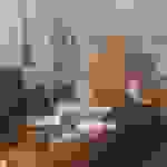 an3
