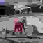 an