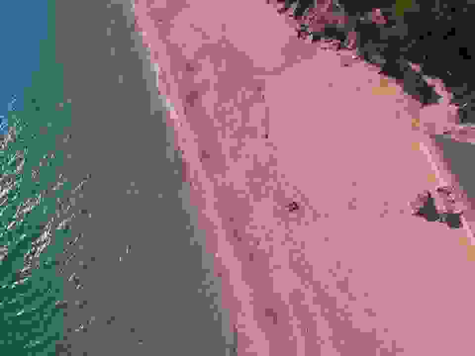 an1