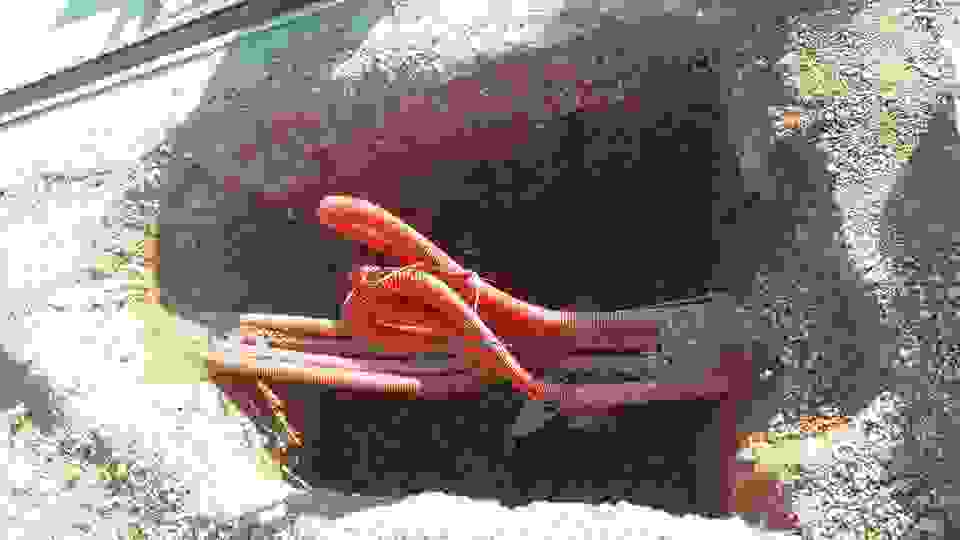 an10