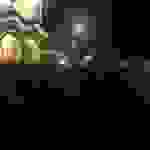 an16