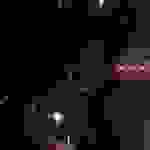 an2
