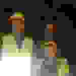 an3
