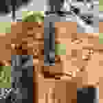 an3