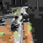 an5