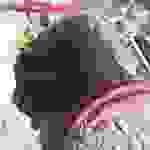 an8