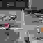 an8