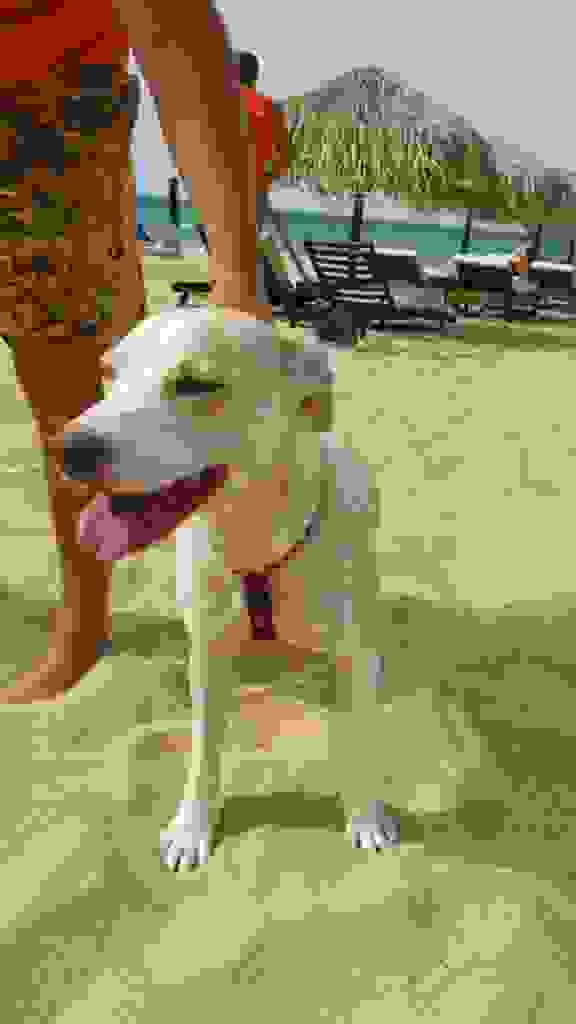 an