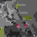 an