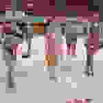 an1