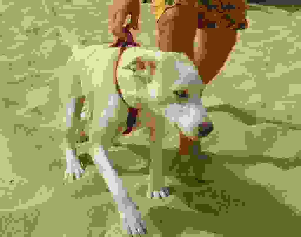 an1