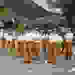 an16