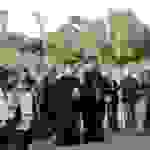 an8