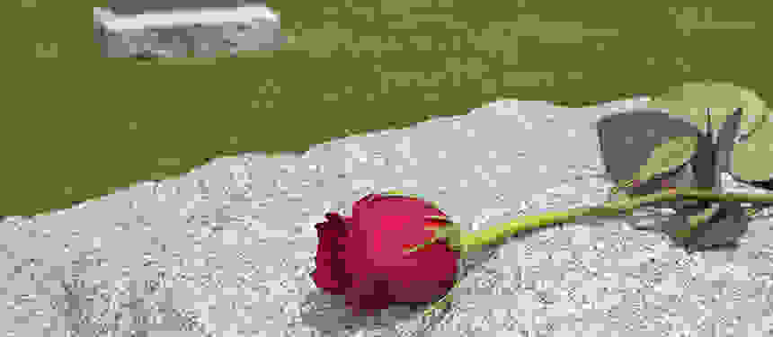 AN 25