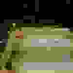 DCIM100MEDIADJI_0041.JPG