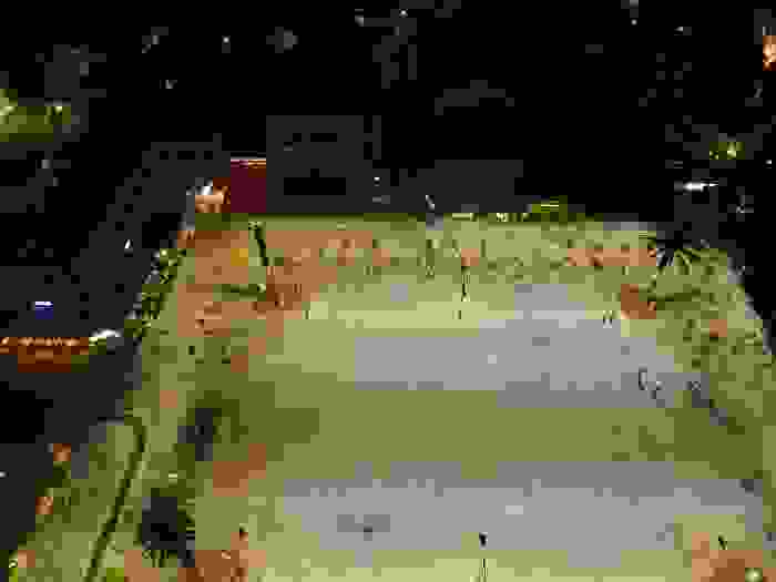 DCIM100MEDIADJI_0041.JPG