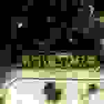 DCIM100MEDIADJI_0042.JPG