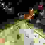 DCIM100MEDIADJI_0043.JPG