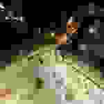 DCIM100MEDIADJI_0044.JPG
