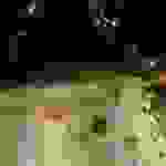 DCIM100MEDIADJI_0045.JPG