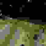 DCIM100MEDIADJI_0046.JPG