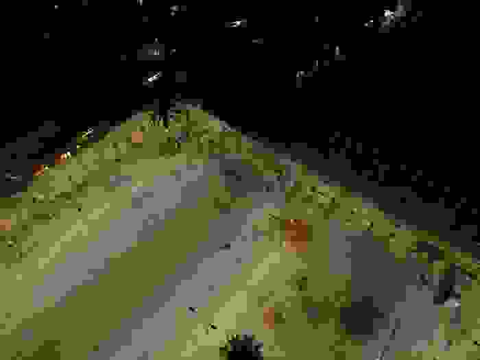 DCIM100MEDIADJI_0048.JPG