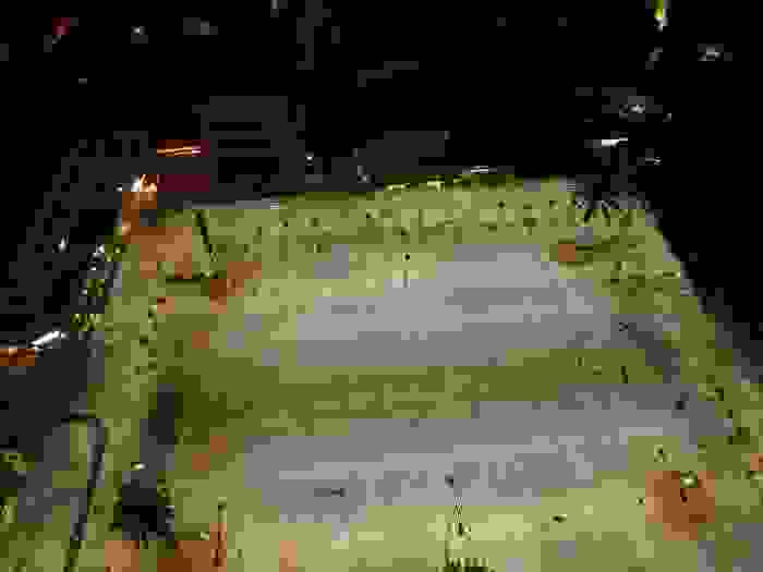 DCIM100MEDIADJI_0051.JPG