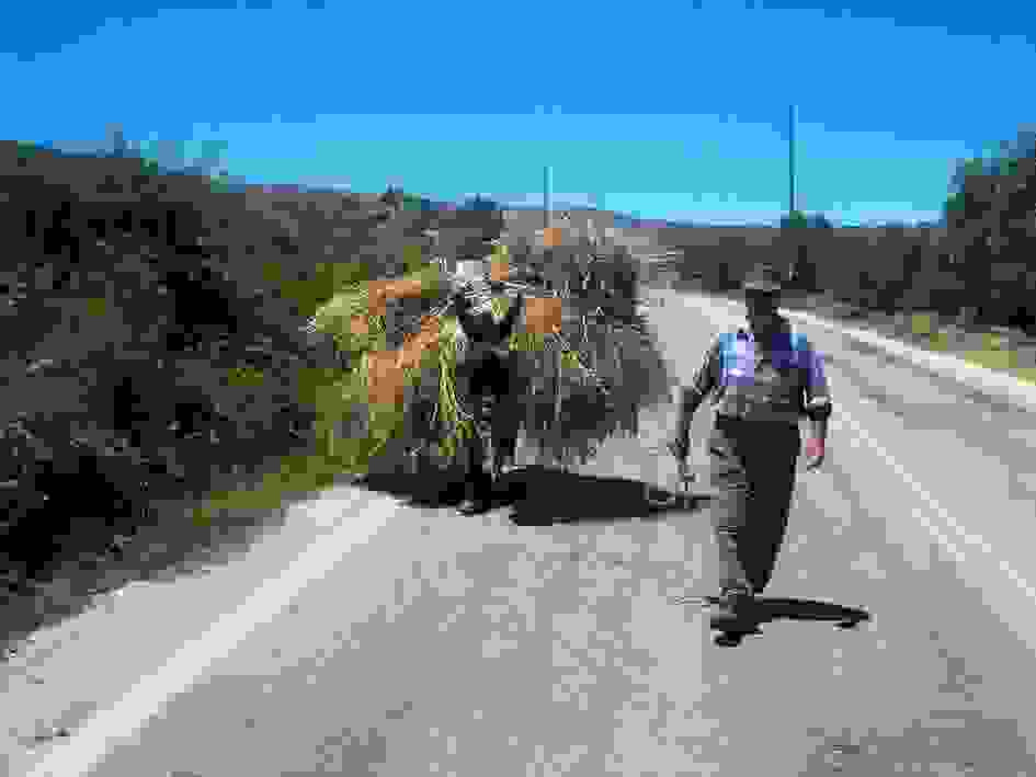 an