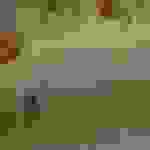 DCIM100MEDIADJI_0054.JPG