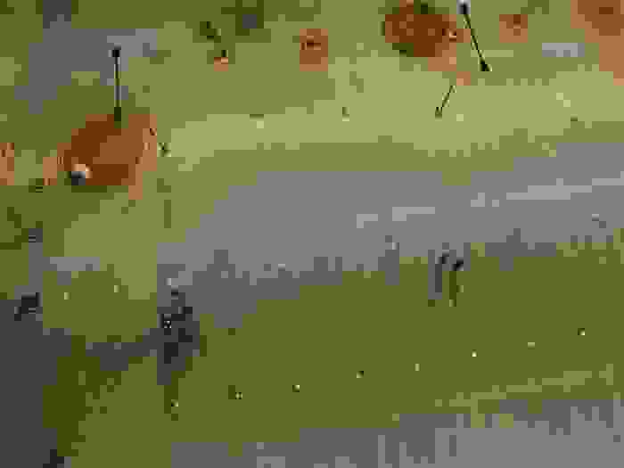 DCIM100MEDIADJI_0054.JPG