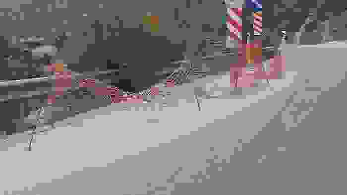 An 61