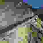 an1