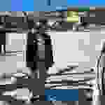an1