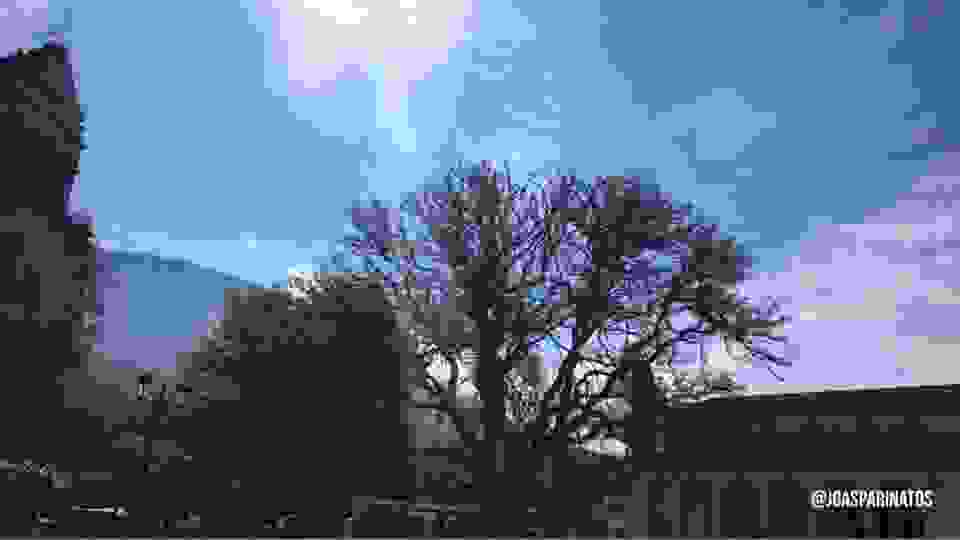 an1