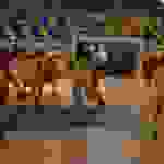 an3