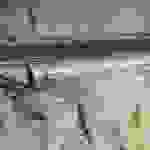 an3