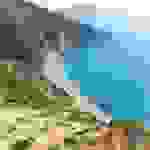 an5