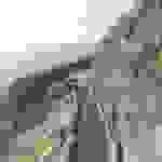 an8