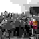 an11