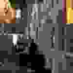 an2