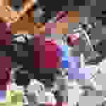 an3