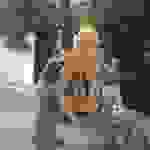 an3