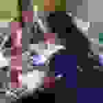 an7