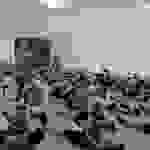 an8