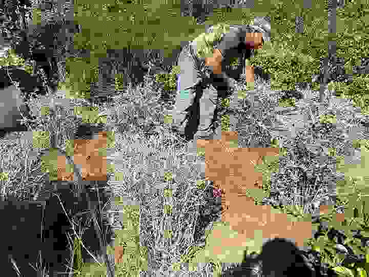 an