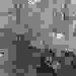 an2