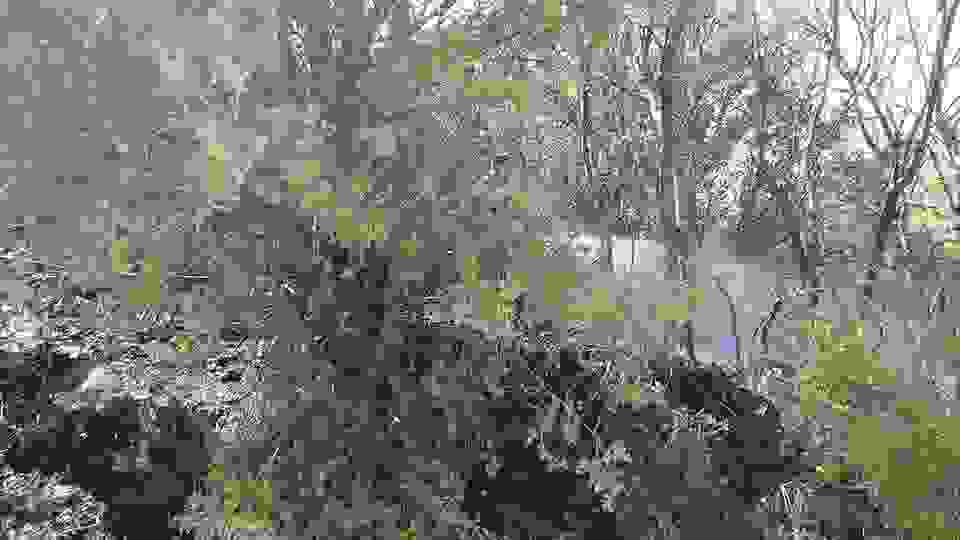 an2