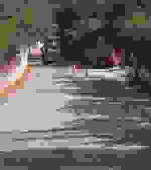 AN 53