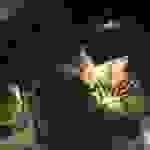 an14