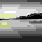 an2